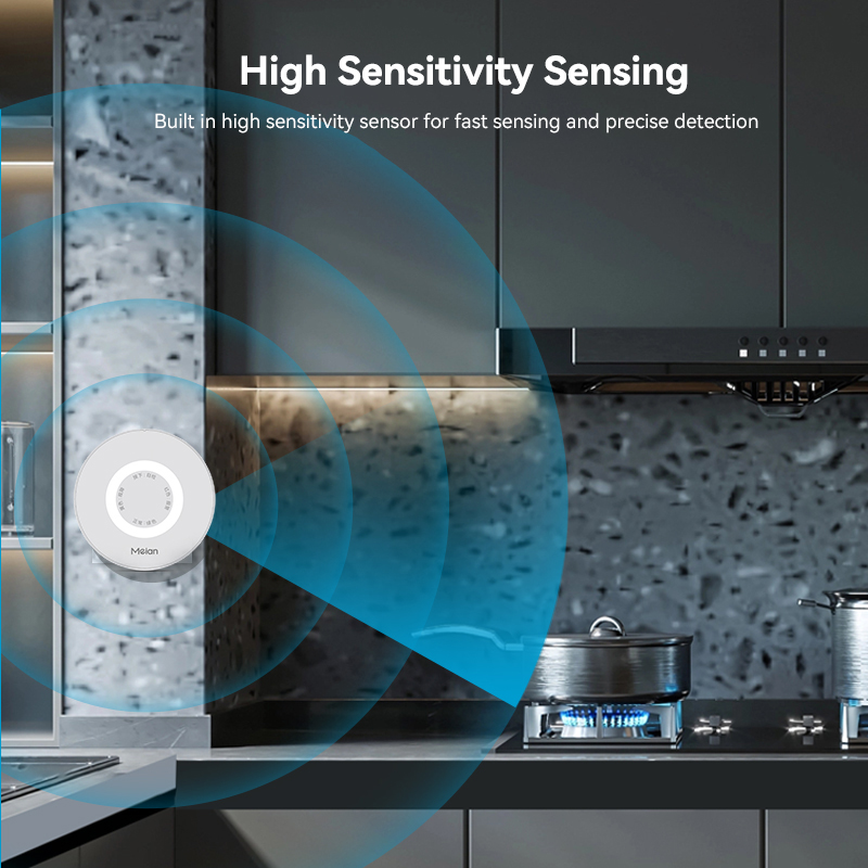 Meian Zigbee-Detector de Gas T - Smart Home Kitchen reseña y precio