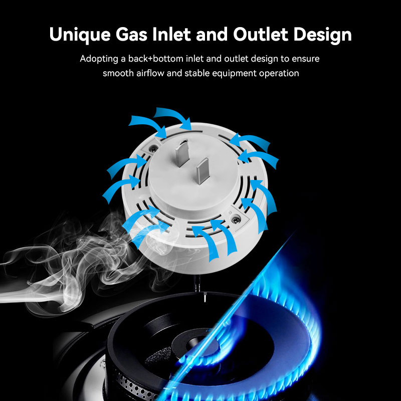 Meian Zigbee-Detector de Gas T - Smart Home Kitchen reseña y precio